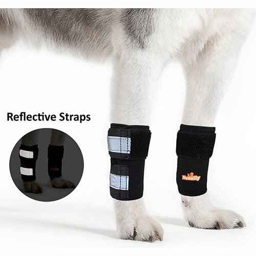 NeoAlly Dog Front Leg Braces: Enhance Safety with Reflective Straps (Pair)