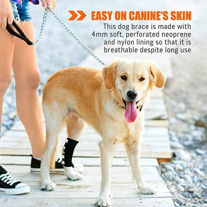 NeoAlly Dog Rear Leg Hock Brace with Safety Reflective Straps for Large Dogs [Long Version]