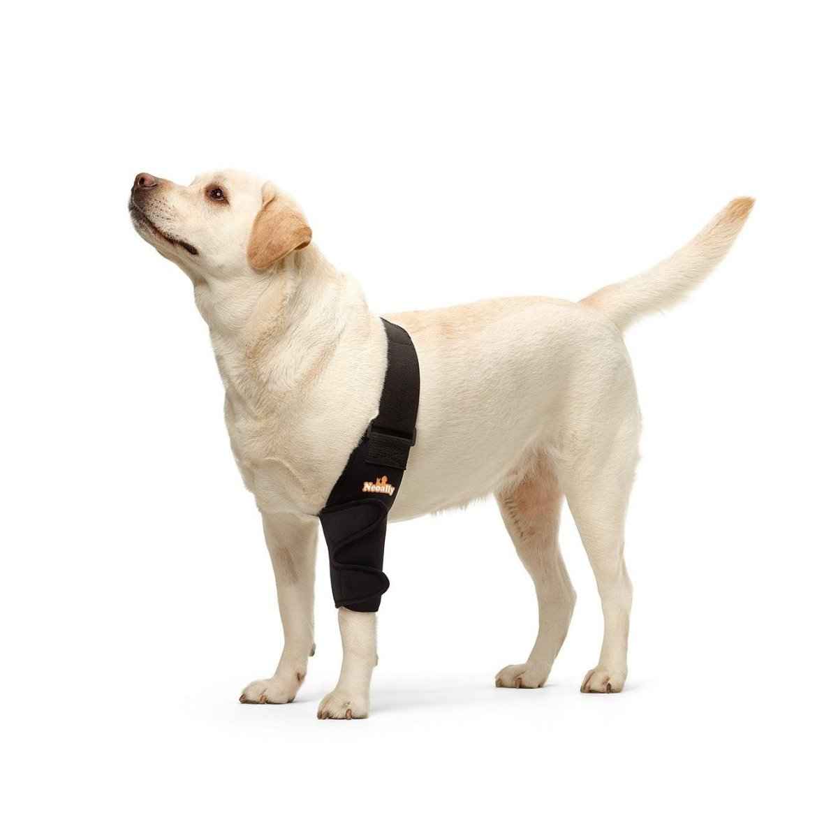 NeoAlly Elbow and Shoulder Brace for Dogs and Cats - Optimal Support for Pet Mobility