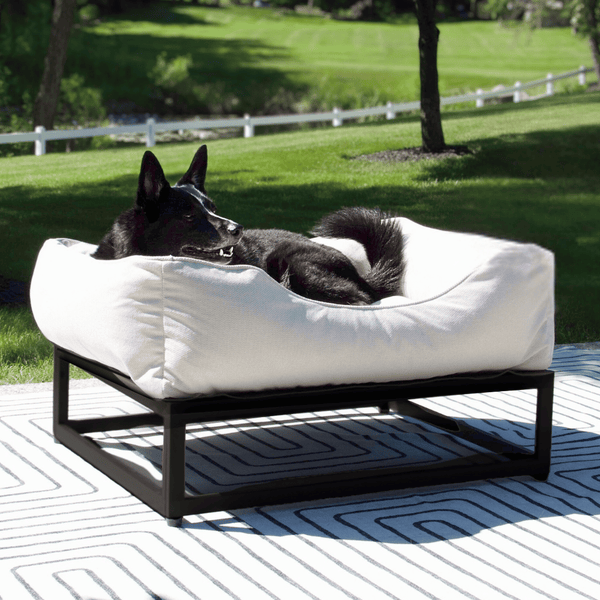 Cozy Raised Dog Lounger