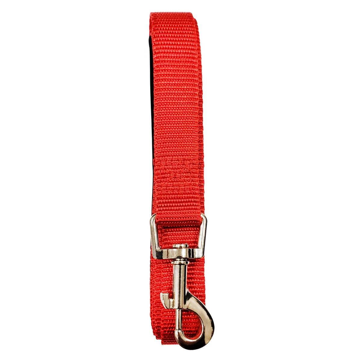 Padded Grip 5-Foot Nylon Dog Leash