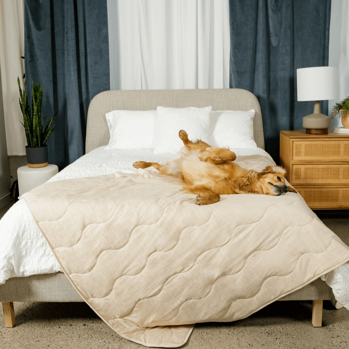 Cooling Blanket for Dogs - PupChill™ - American Bark Bliss