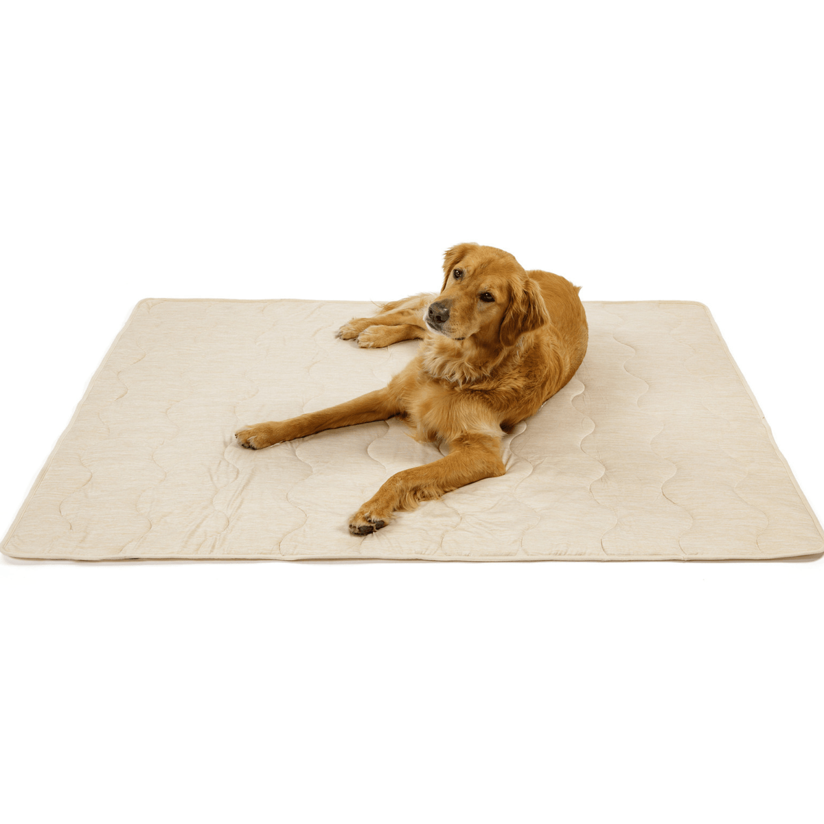 Cooling Blanket for Dogs - PupChill™ - American Bark Bliss