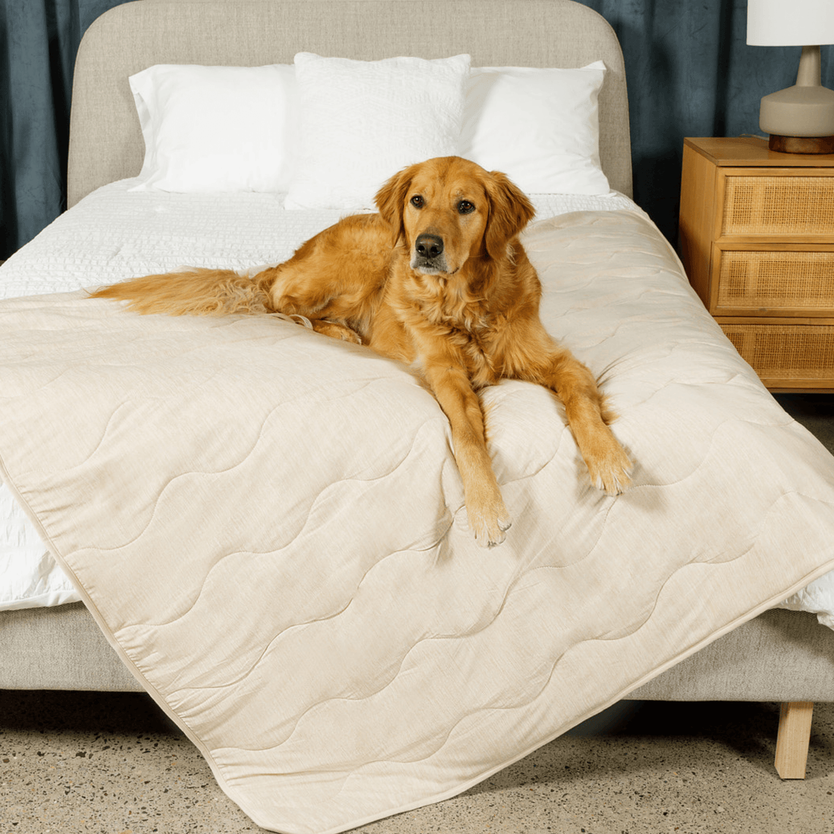 Cooling Blanket for Dogs - PupChill™ - American Bark Bliss