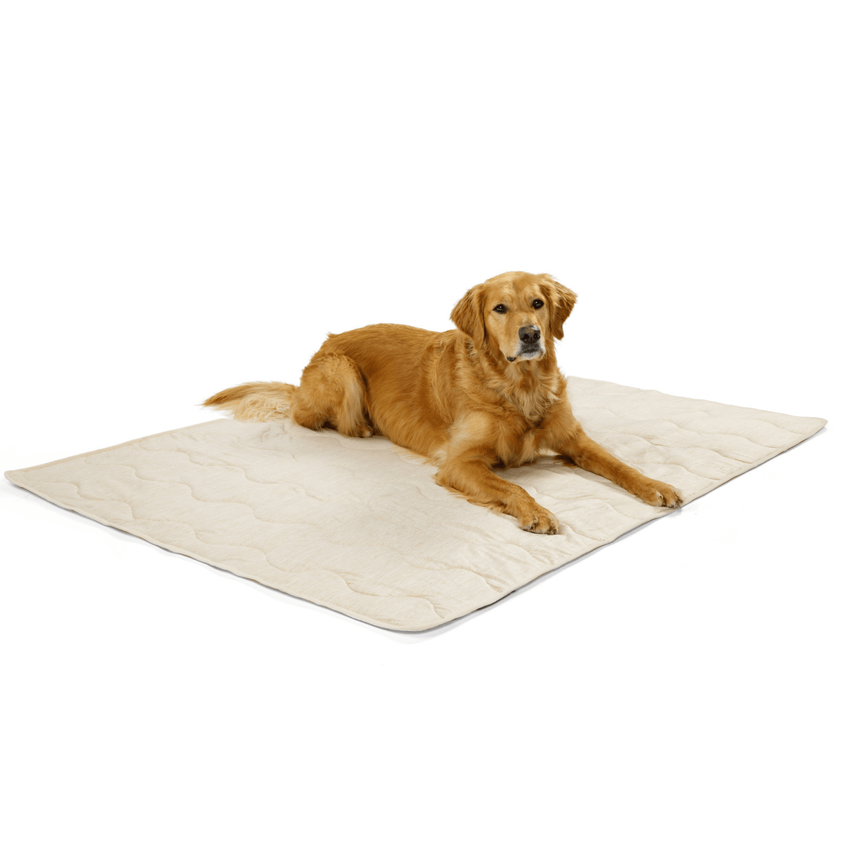 Cooling Blanket for Dogs - PupChill™ - American Bark Bliss