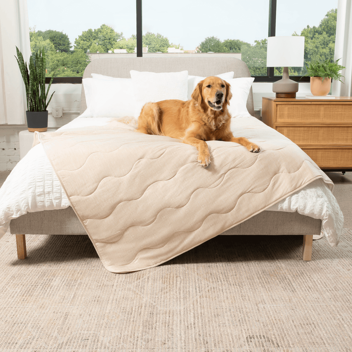 Cooling Blanket for Dogs - PupChill™ - American Bark Bliss