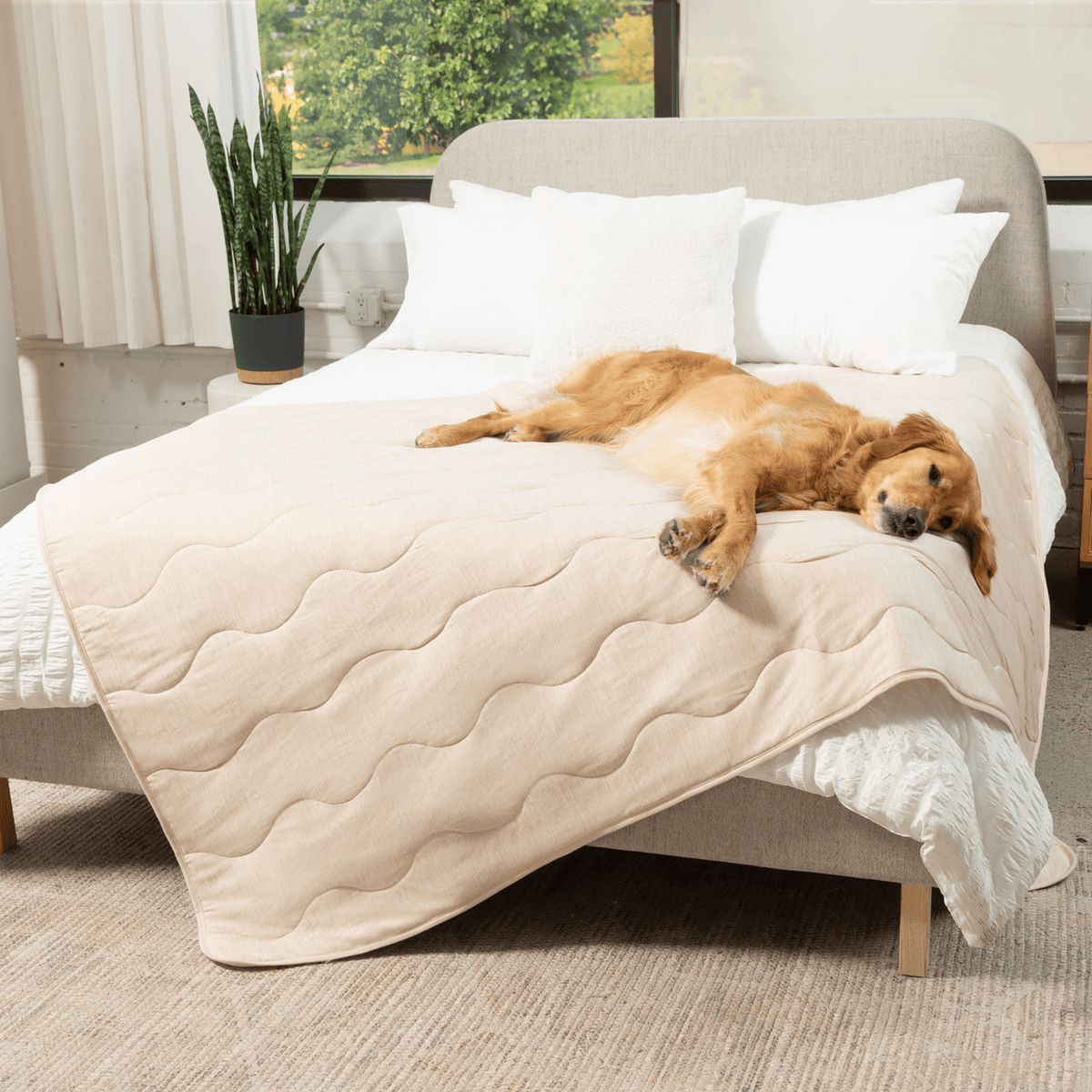 Cooling Blanket for Dogs - PupChill™ - American Bark Bliss