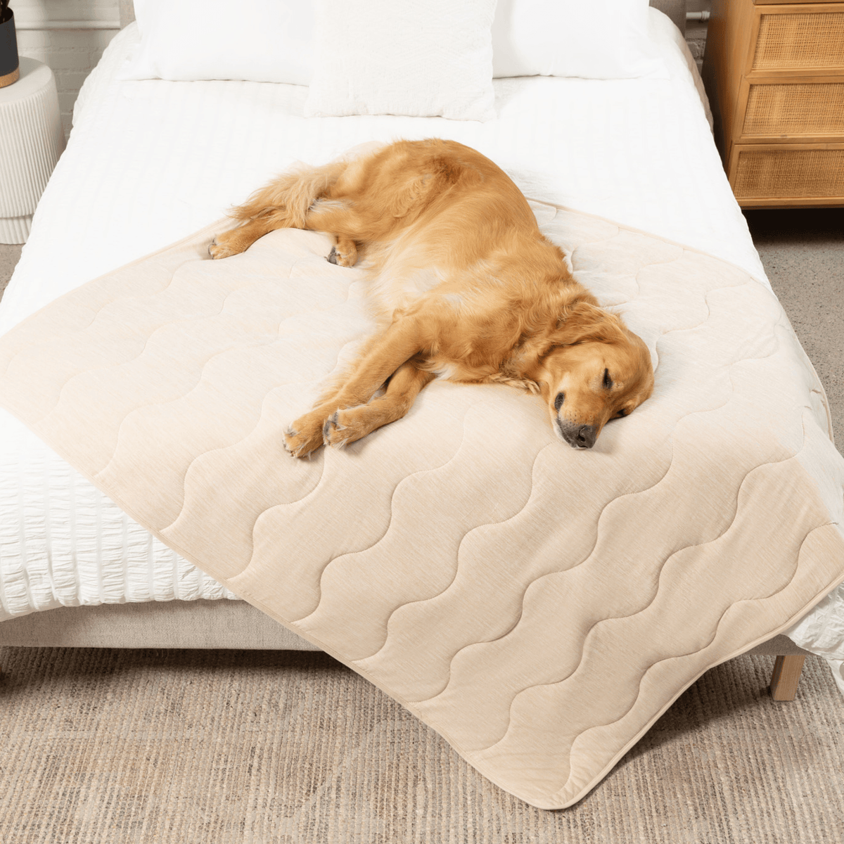 Cooling Blanket for Dogs - PupChill™ - American Bark Bliss