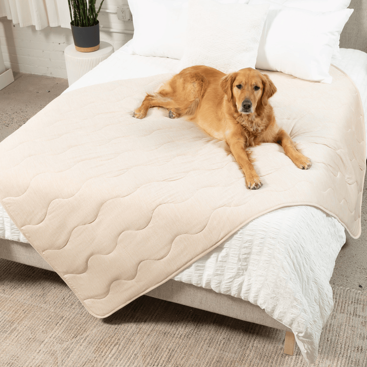 Cooling Blanket for Dogs - PupChill™ - American Bark Bliss