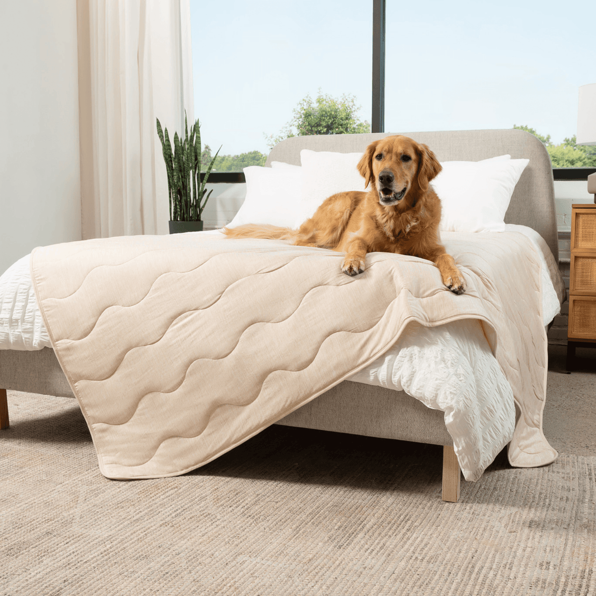 Cooling Blanket for Dogs - PupChill™ - American Bark Bliss