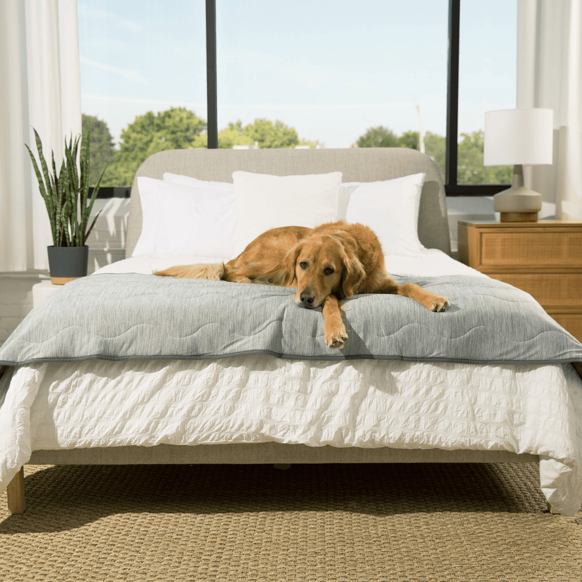 PupChill™ Cooling Runner Blanket - Arctic Grey for Dogs - American Bark Bliss