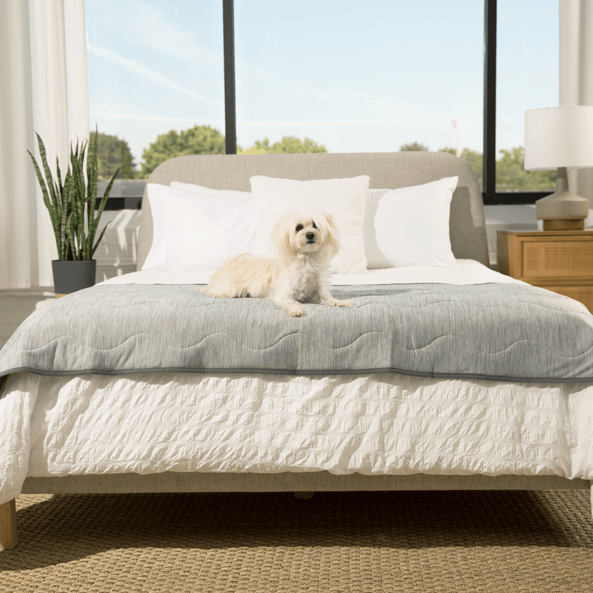 PupChill™ Cooling Runner Blanket - Arctic Grey for Dogs - American Bark Bliss