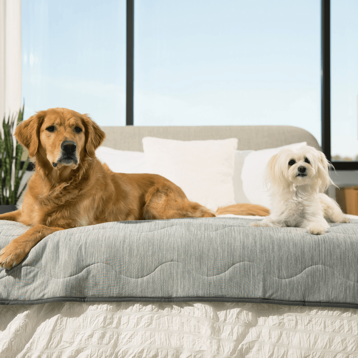 PupChill™ Cooling Runner Blanket - Arctic Grey for Dogs - American Bark Bliss