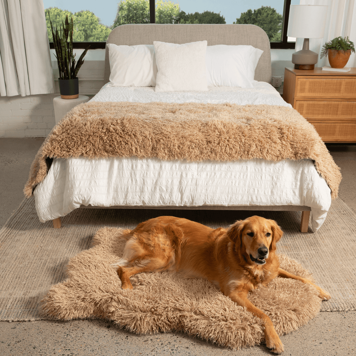 Orthopedic Faux Fur Dog Bed - Plush Sheep Tan - American Bark Bliss
