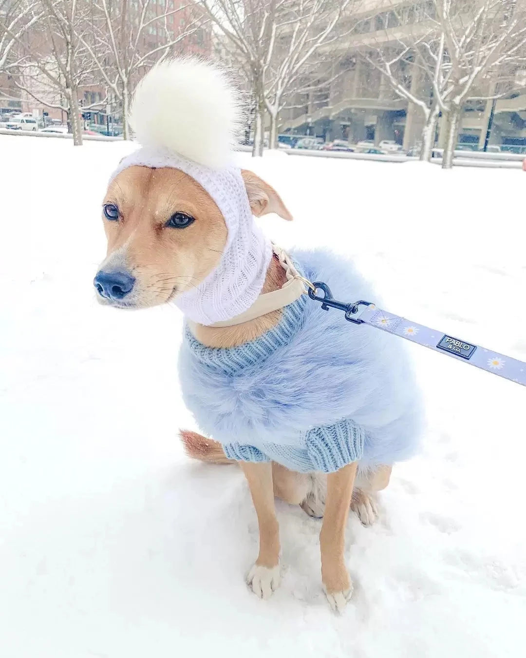 Luxury Feathered Pet Sweater by Furr Baby Gifts