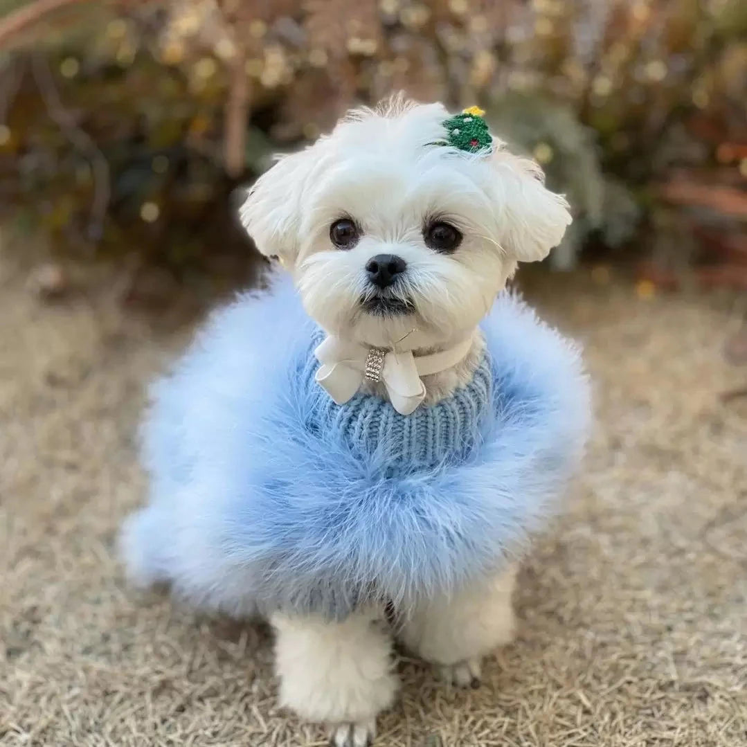 Luxury Feathered Pet Sweater by Furr Baby Gifts