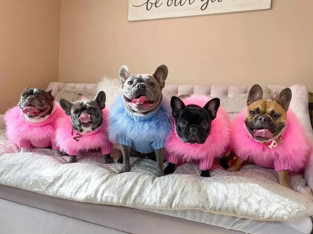 Luxury Feathered Pet Sweater by Furr Baby Gifts