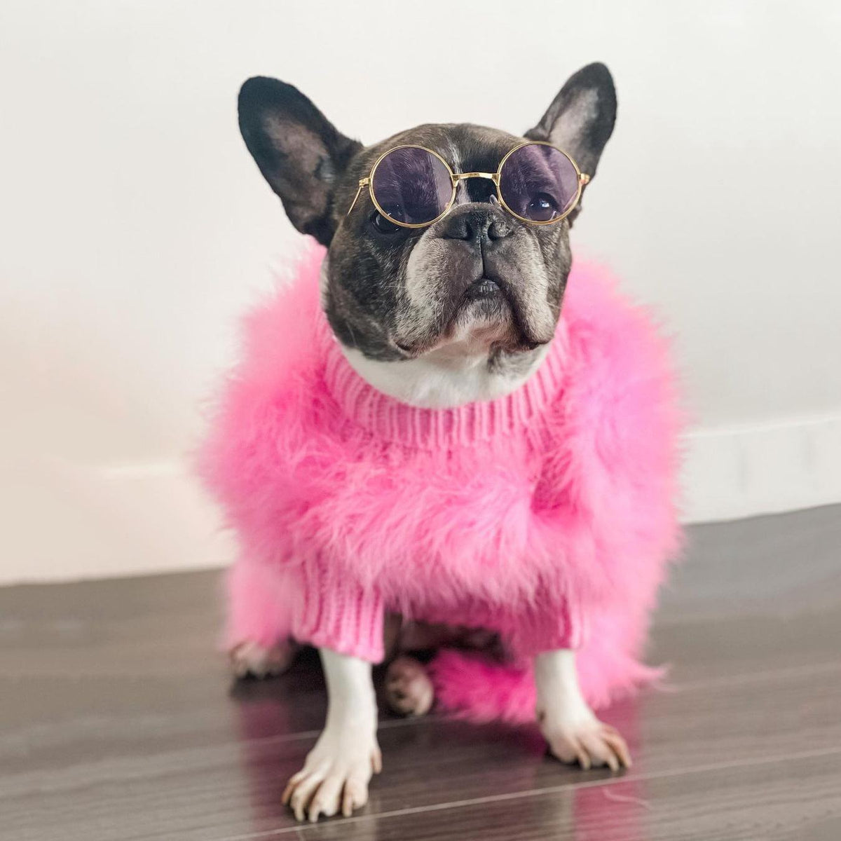 Luxury Feathered Pet Sweater by Furr Baby Gifts