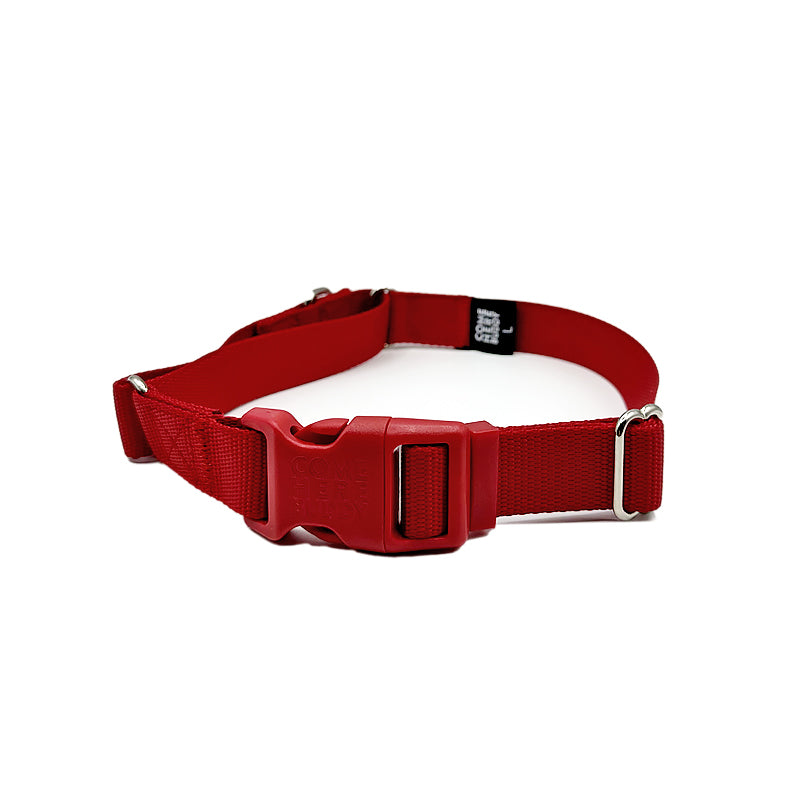 Martingale Dog Collar for Secure and Gentle Control - American Bark Bliss