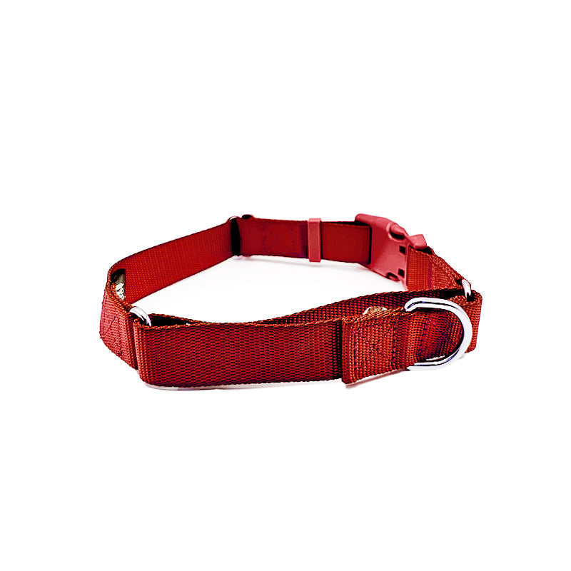 Martingale Dog Collar for Secure and Gentle Control by Come Here Buddy
