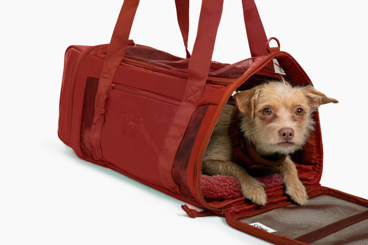 Airline-Compliant Pet Carrier for Convenient Travel - American Bark Bliss