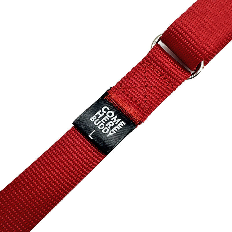 Martingale Dog Collar for Secure and Gentle Control by Come Here Buddy