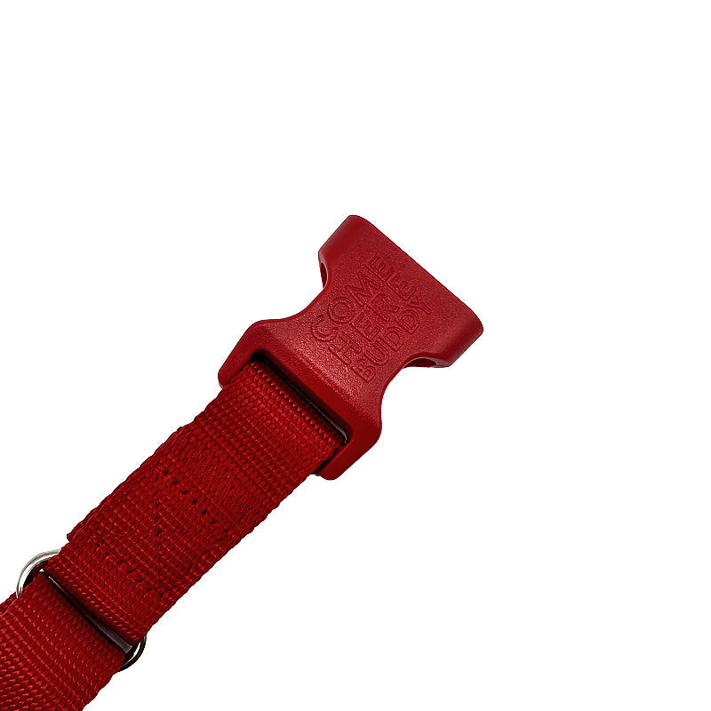 Martingale Dog Collar for Secure and Gentle Control by Come Here Buddy