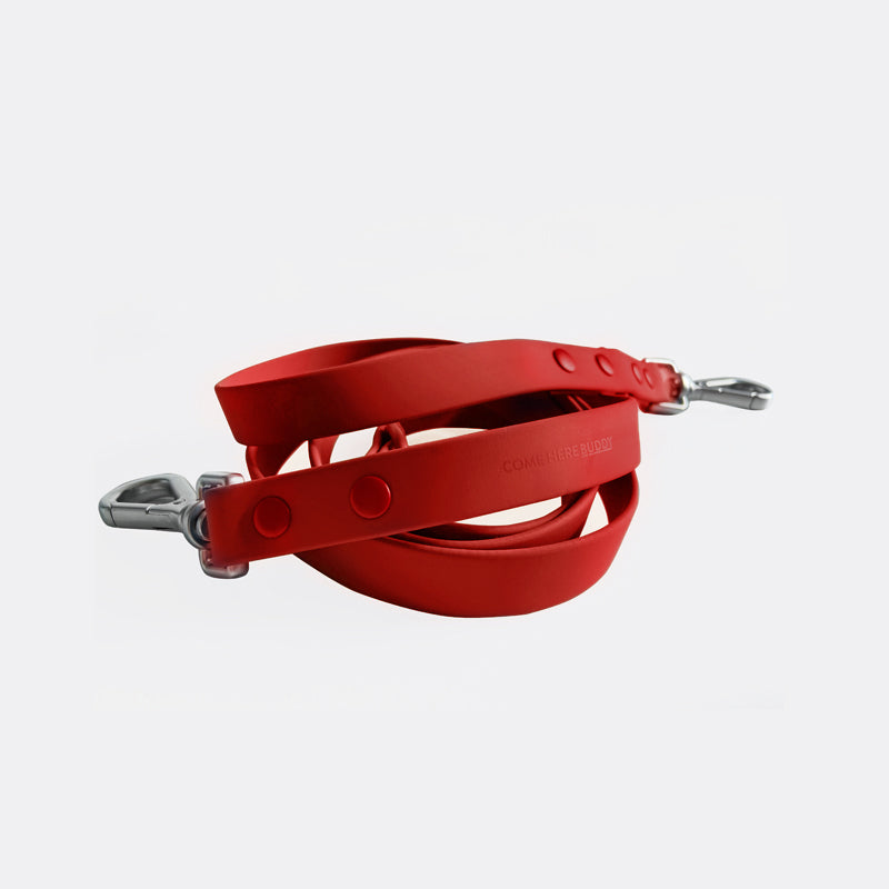 Durable Waterproof Dog Leash for Outdoor Walks - American Bark Bliss