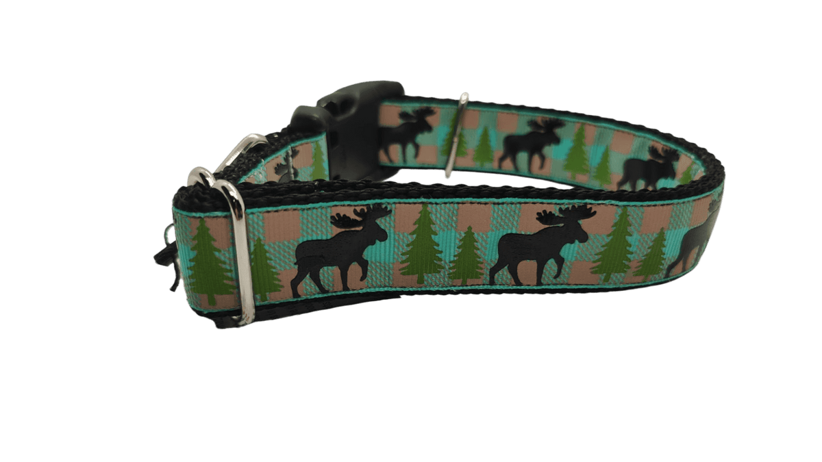 Teal Moose Nylon Dog Collar - American Bark Bliss