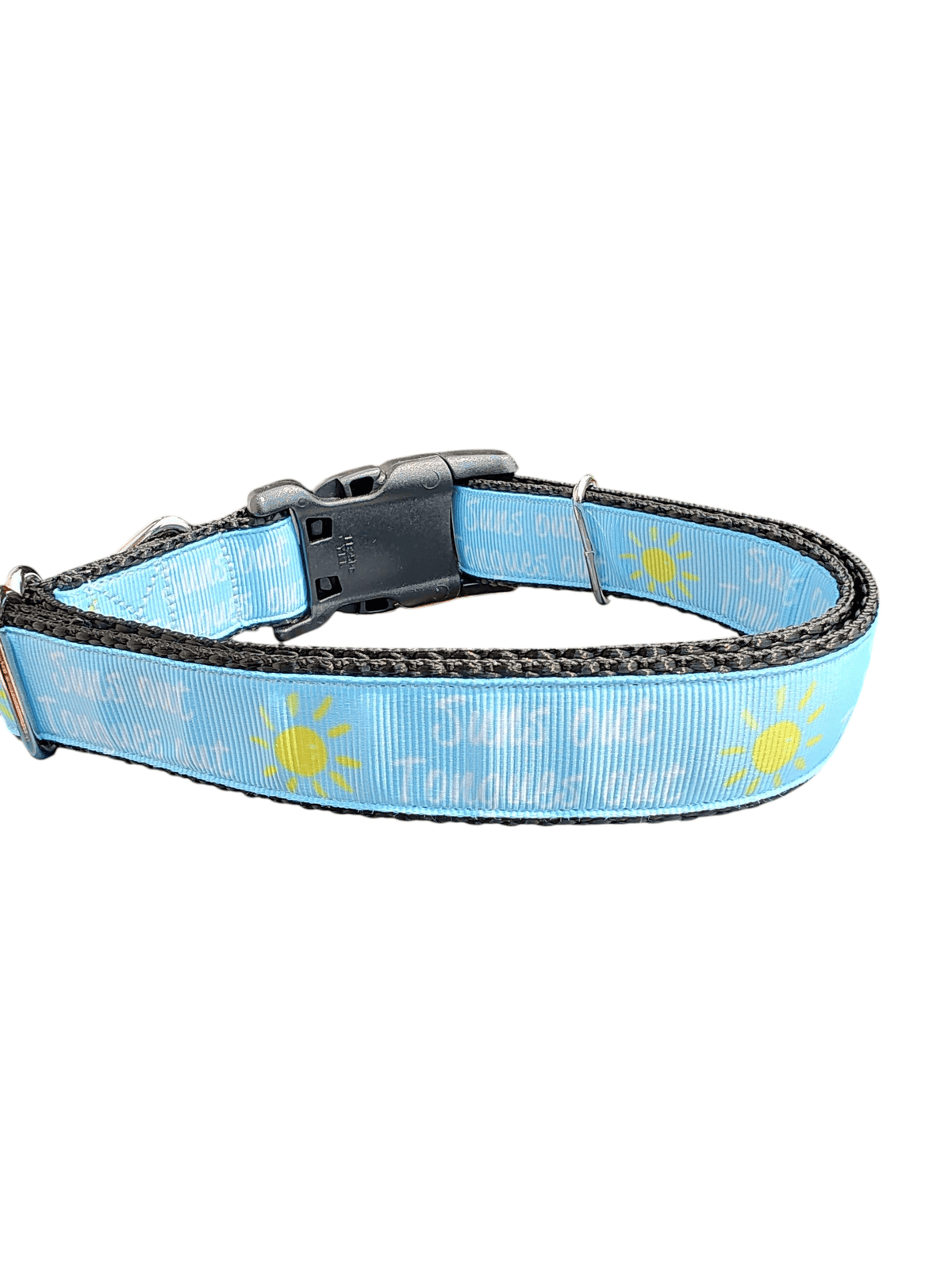 Suns Out Tongues Out Blue Nylon Dog Collar - American Bark Bliss