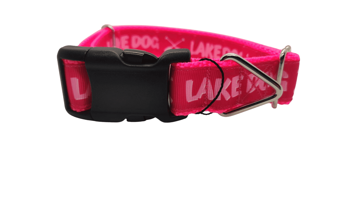 Lake Dog Pink Nylon Dog Collar - American Bark Bliss