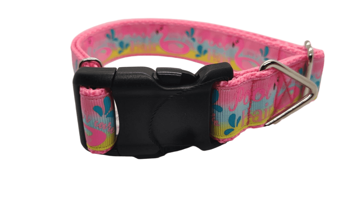 Pool Hair Don't Care Nylon Dog Collar - American Bark Bliss
