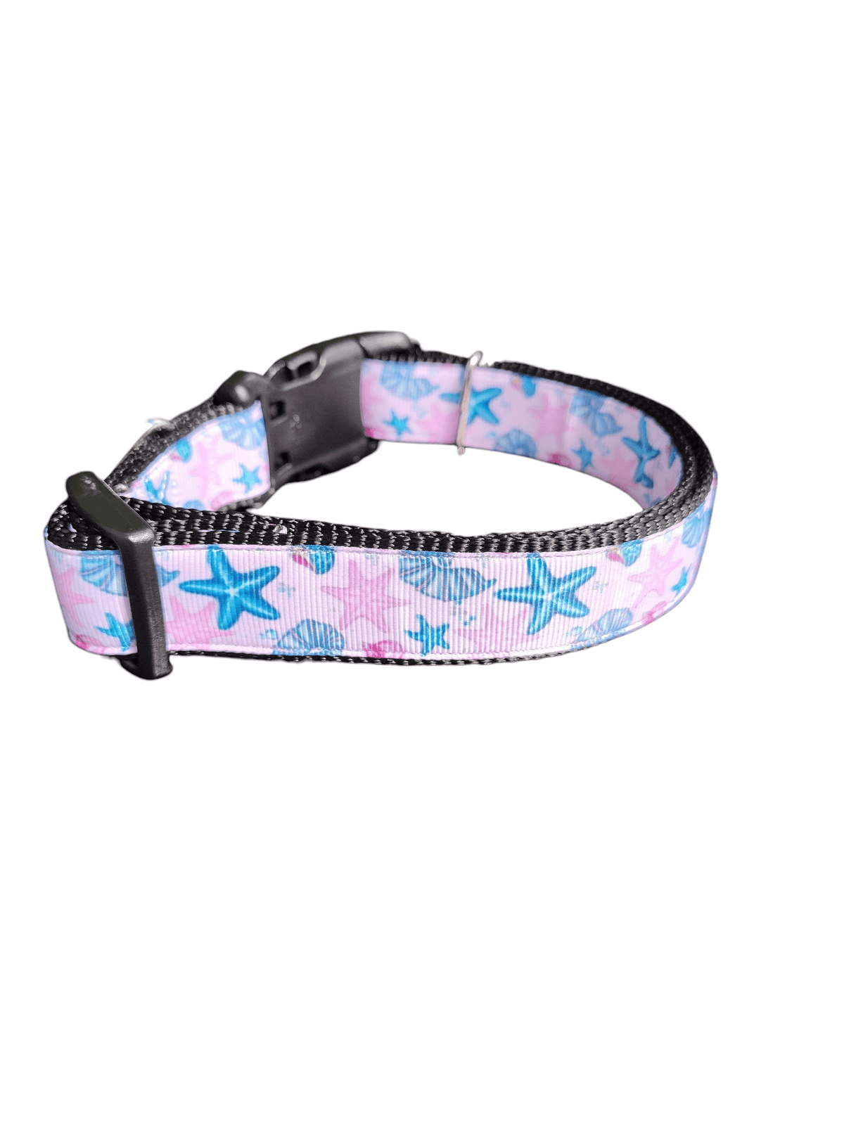 Starfish and Snails Nylon Dog Collar - American Bark Bliss