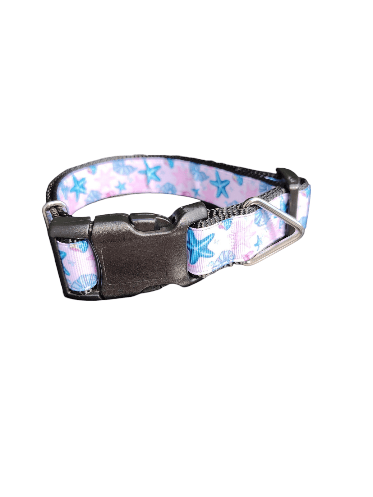 Starfish and Snails Nylon Dog Collar - American Bark Bliss