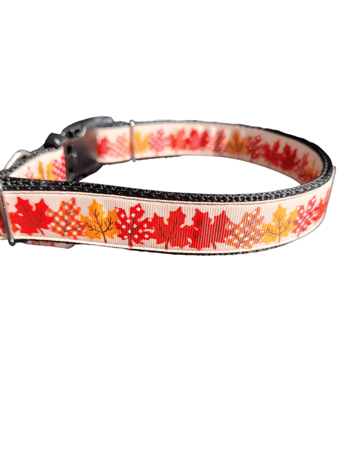 Maple Leaves Nylon Dog Collar - American Bark Bliss