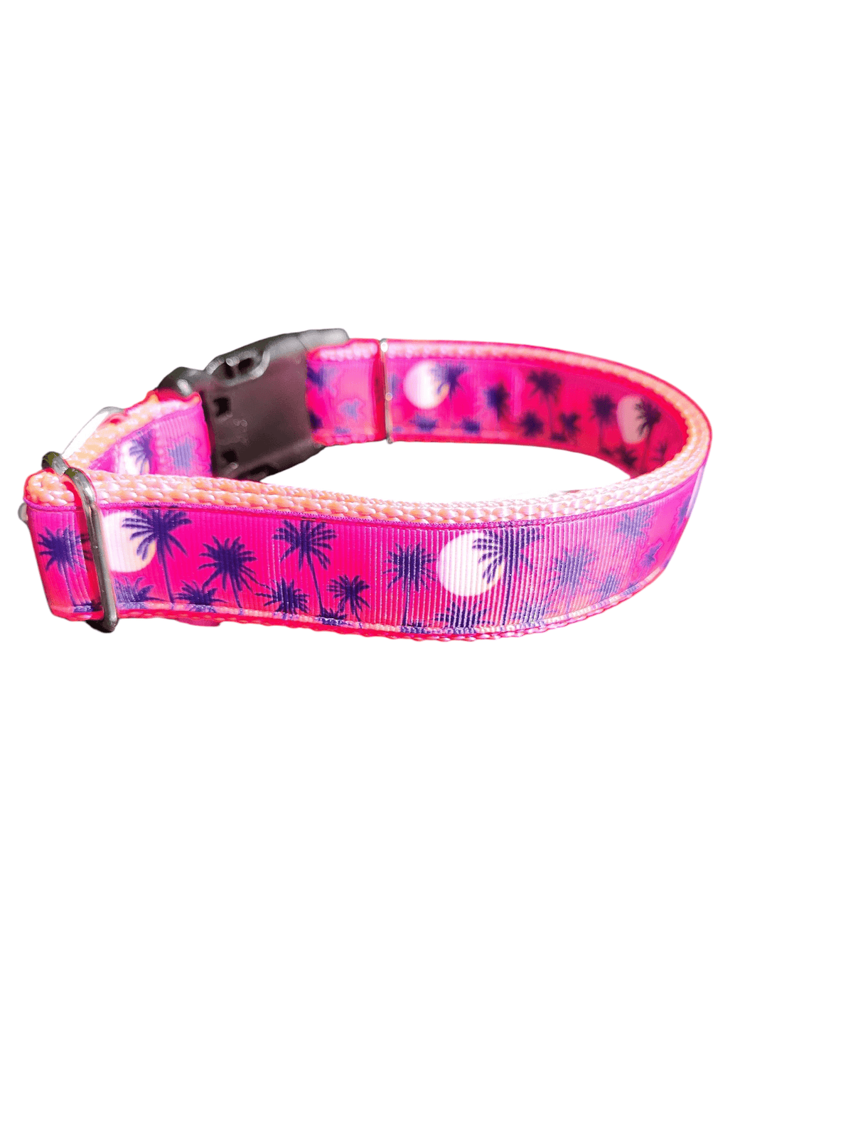 Pink Palm Trees Nylon Dog Collar - American Bark Bliss