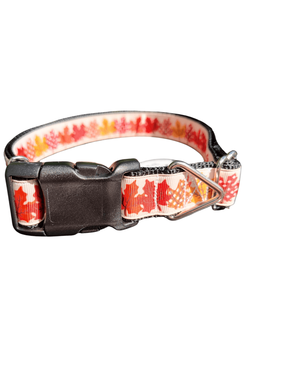 Maple Leaves Nylon Dog Collar - American Bark Bliss