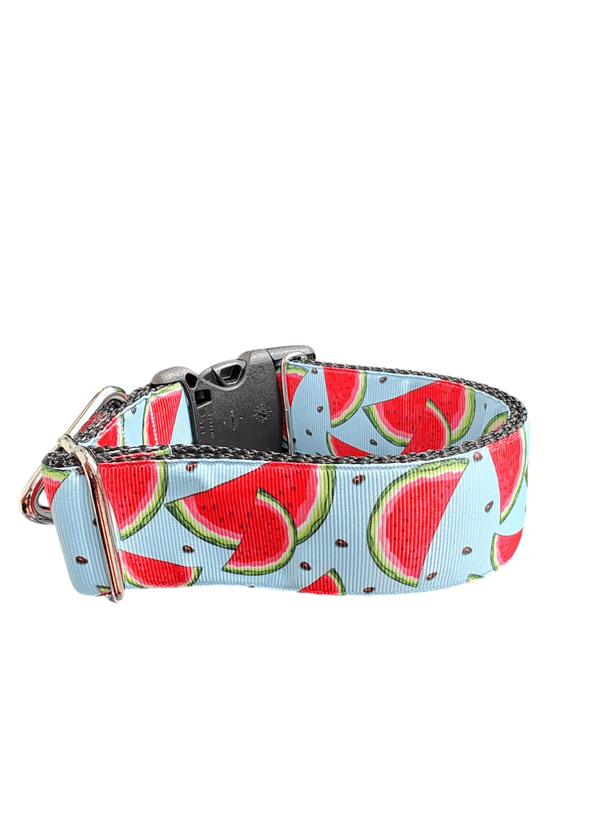 1.5" Wide Watermelon Wedges Nylon Dog Collar - American Bark Bliss