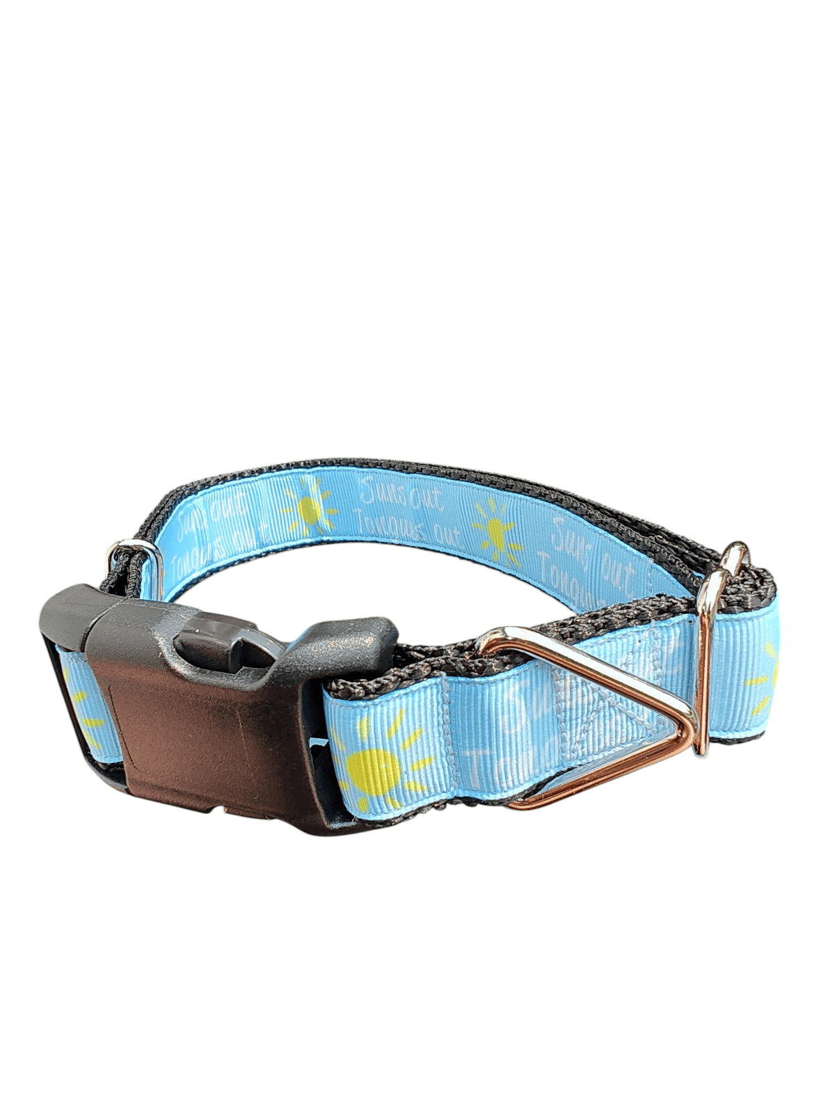 Suns Out Tongues Out Blue Nylon Dog Collar - American Bark Bliss