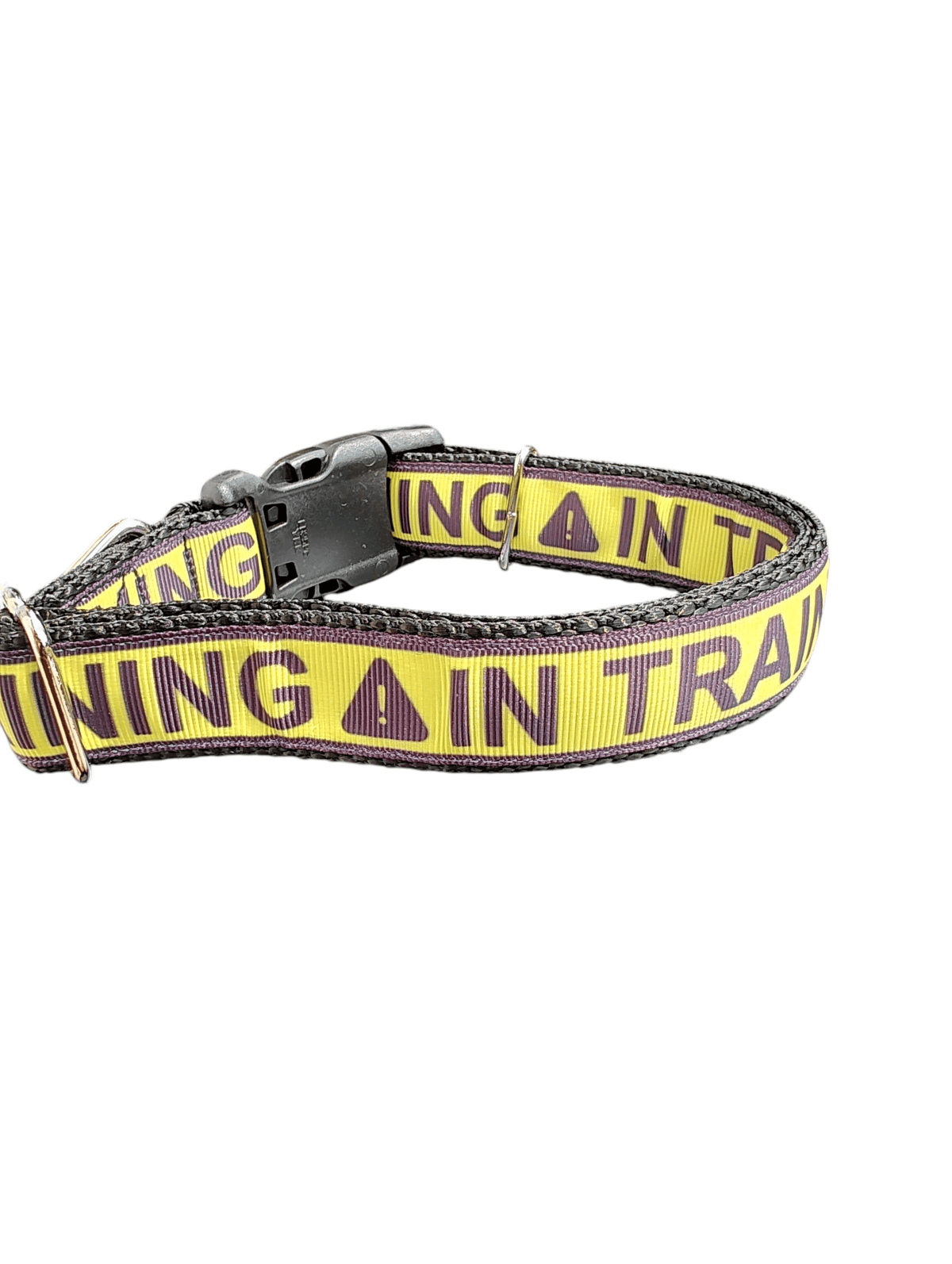 In Training Nylon Dog Collar - American Bark Bliss