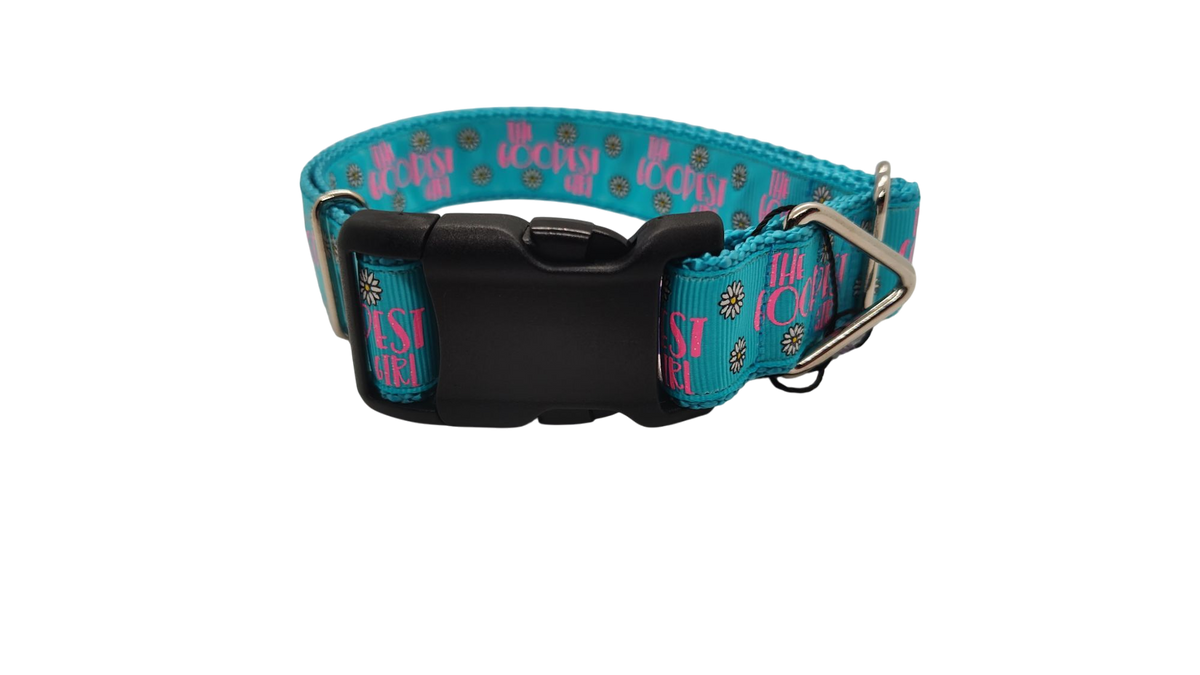 The Goodest Girl Nylon Dog Collar - American Bark Bliss
