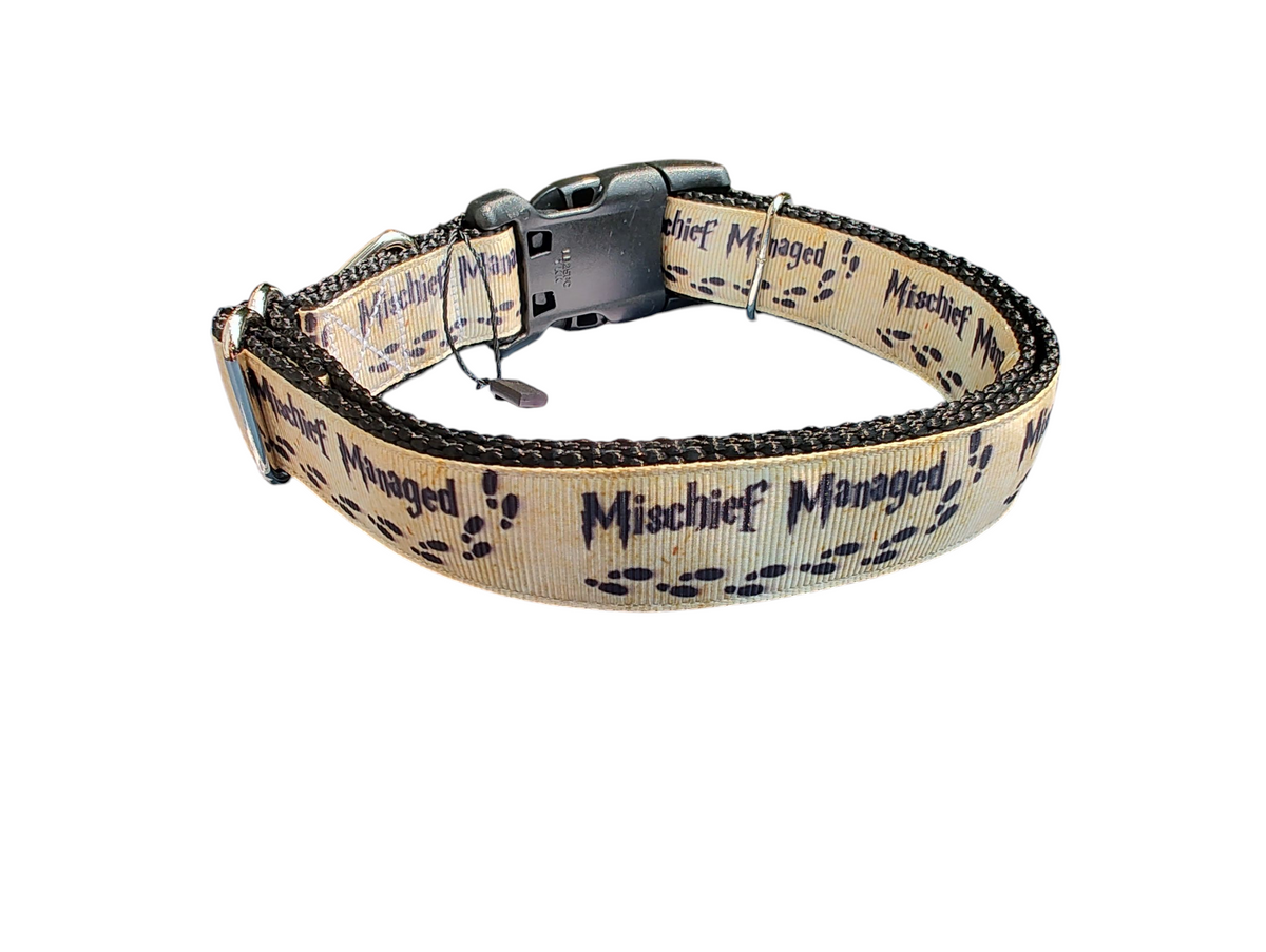 Mischief Managed Nylon Dog Collar - American Bark Bliss