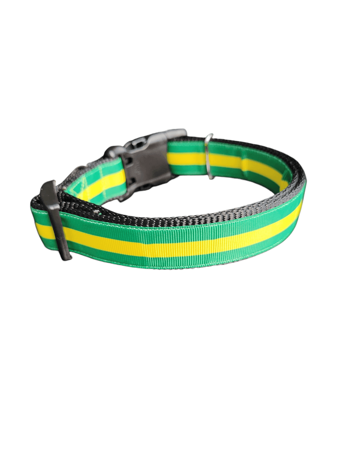 Green And Gold Nylon Dog Collar - American Bark Bliss