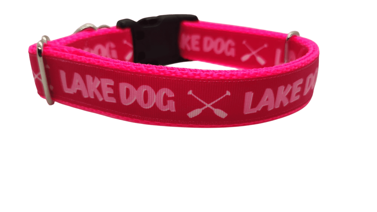 Lake Dog Pink Nylon Dog Collar - American Bark Bliss