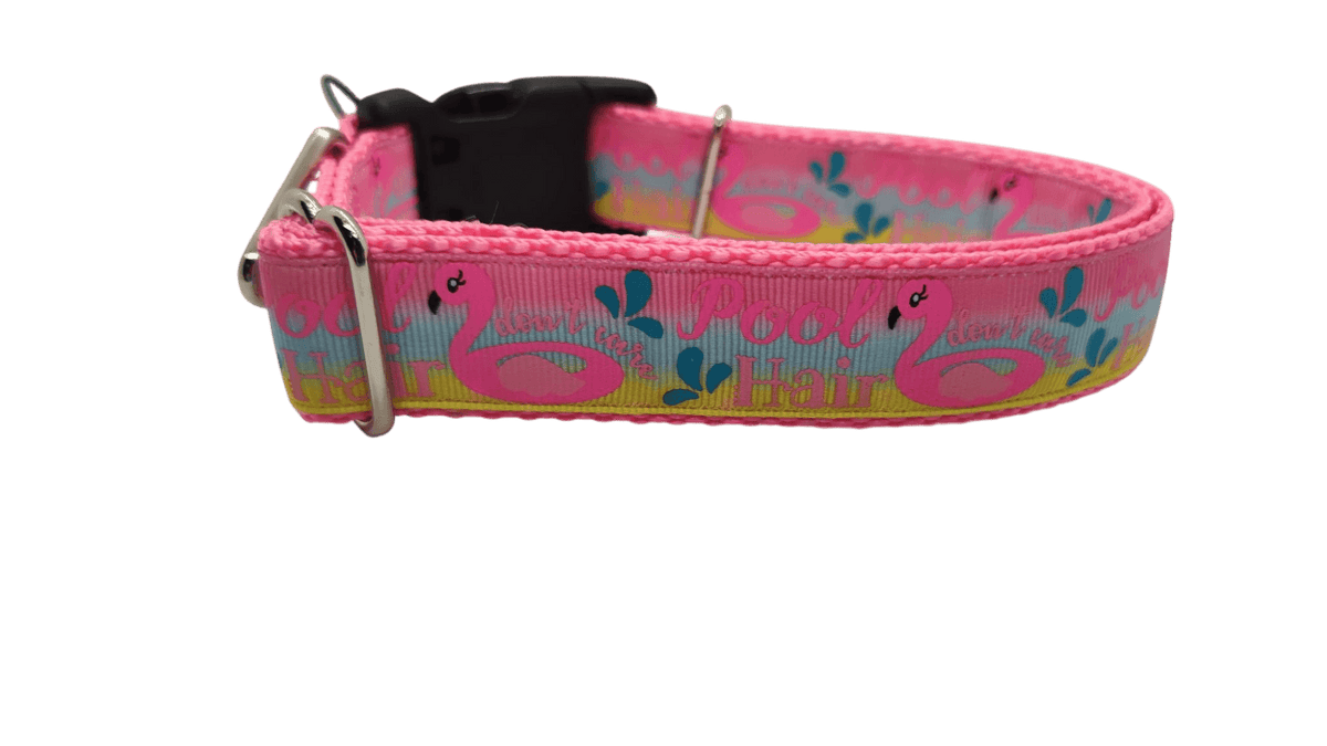 Pool Hair Don't Care Nylon Dog Collar - American Bark Bliss