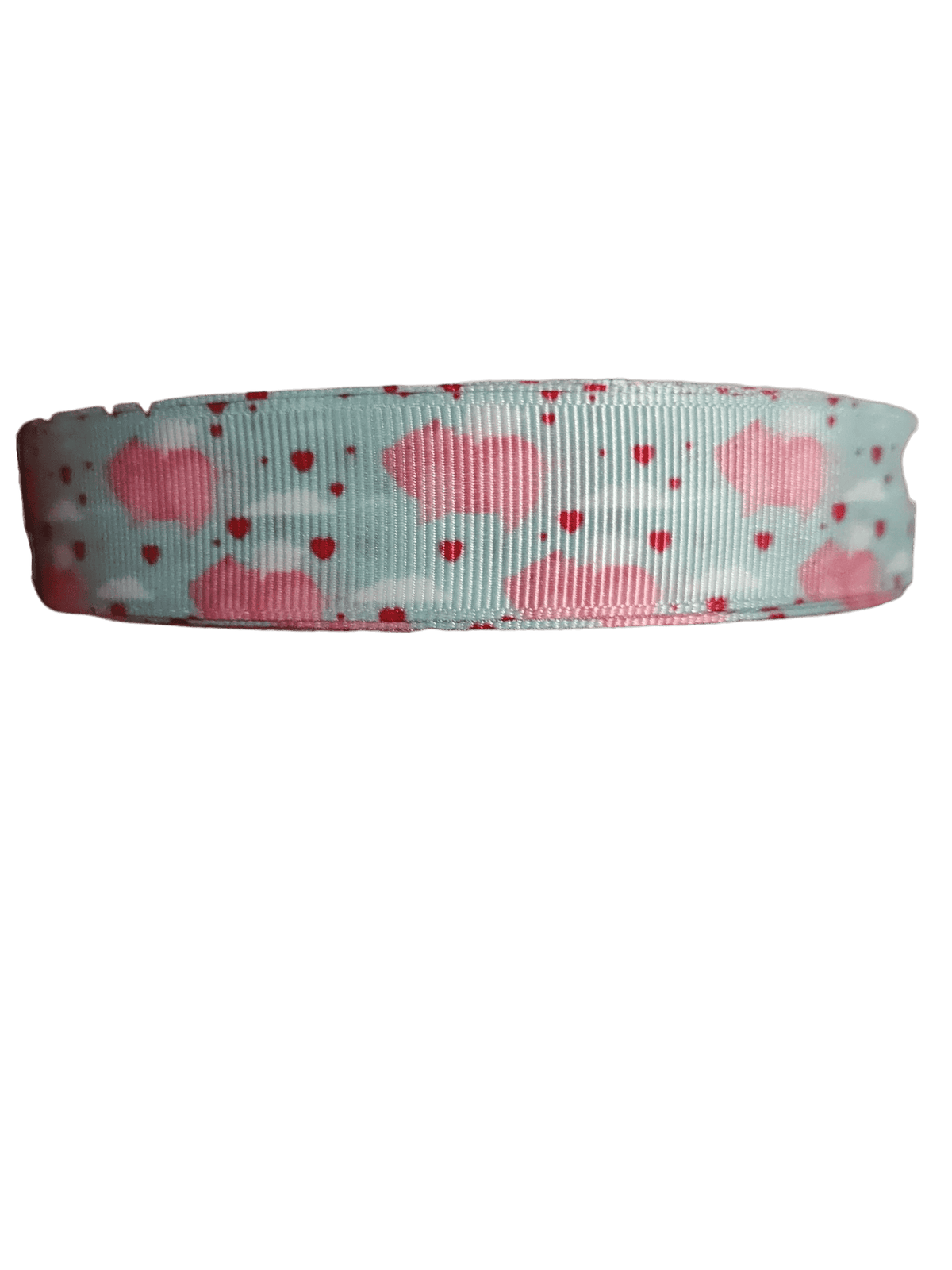 When Pigs Fly Nylon Dog Collar - American Bark Bliss