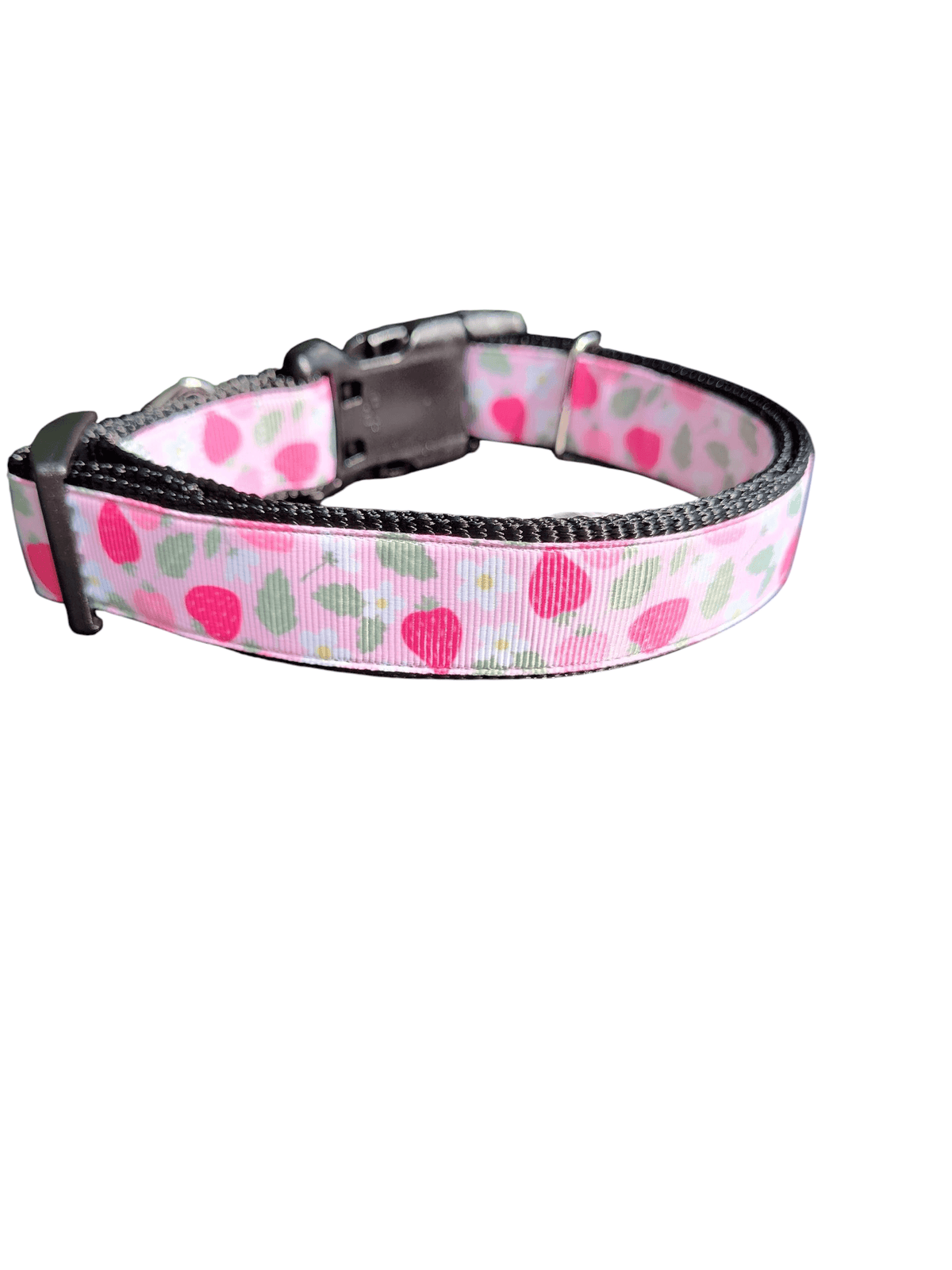 Pink Strawberries Nylon Dog Collar - American Bark Bliss