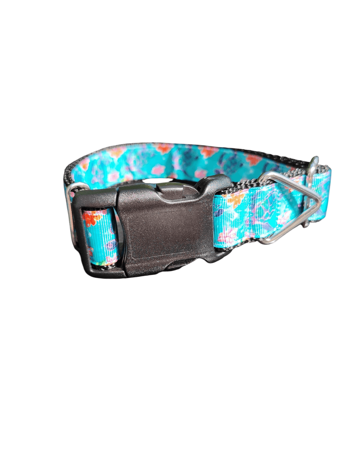 Sea Turtles Nylon Dog Collar - American Bark Bliss
