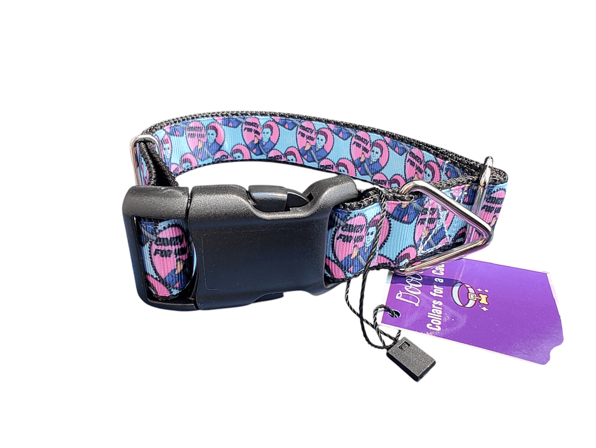 Crazy For You Nylon Dog Collar - American Bark Bliss