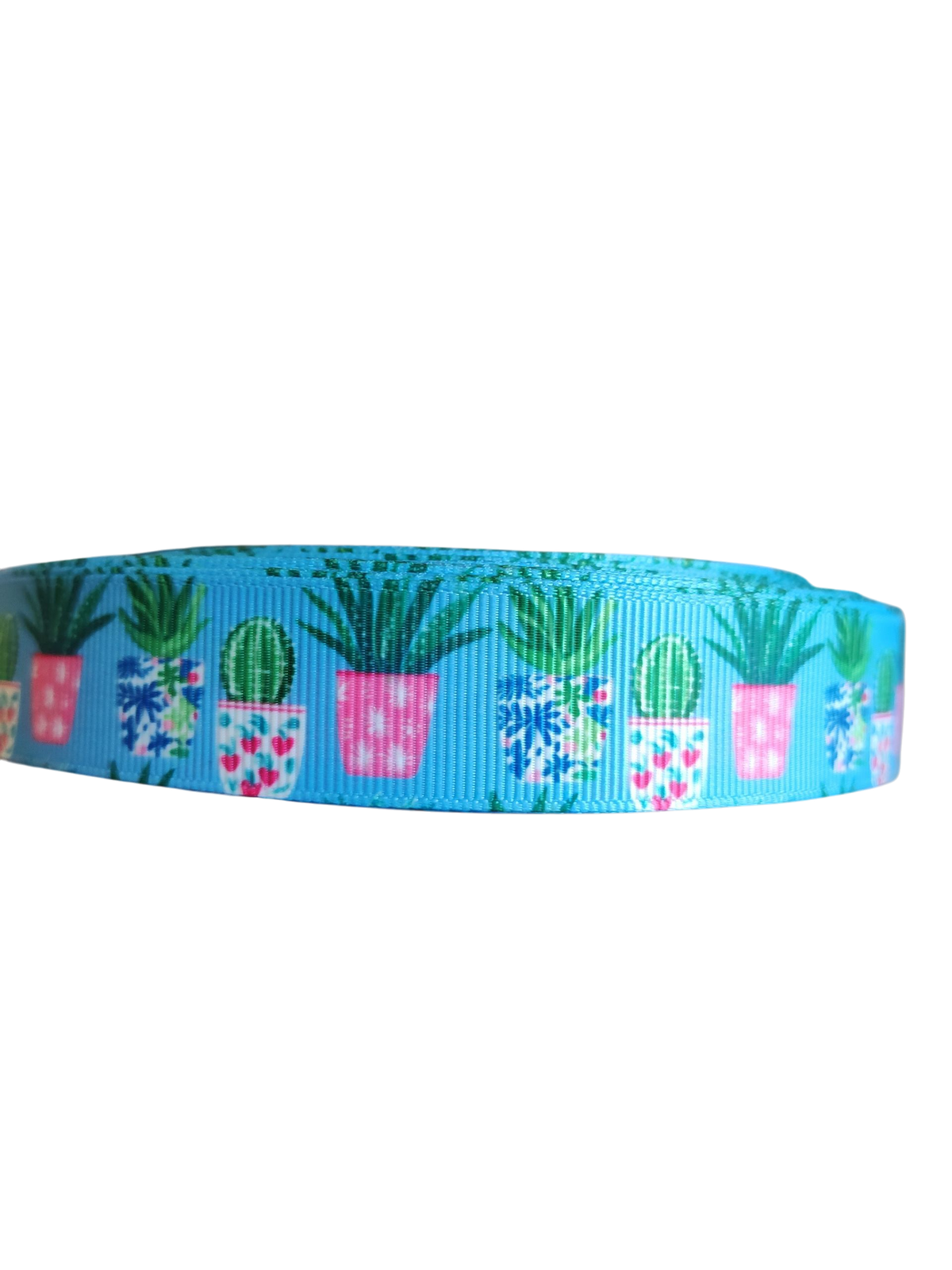 Potted Cacti Nylon Dog Collar Medium Large XL Handmade In USA - American Bark Bliss